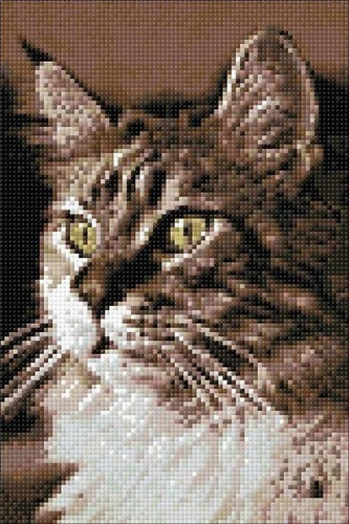Cat At Home Diamond Painting Kit