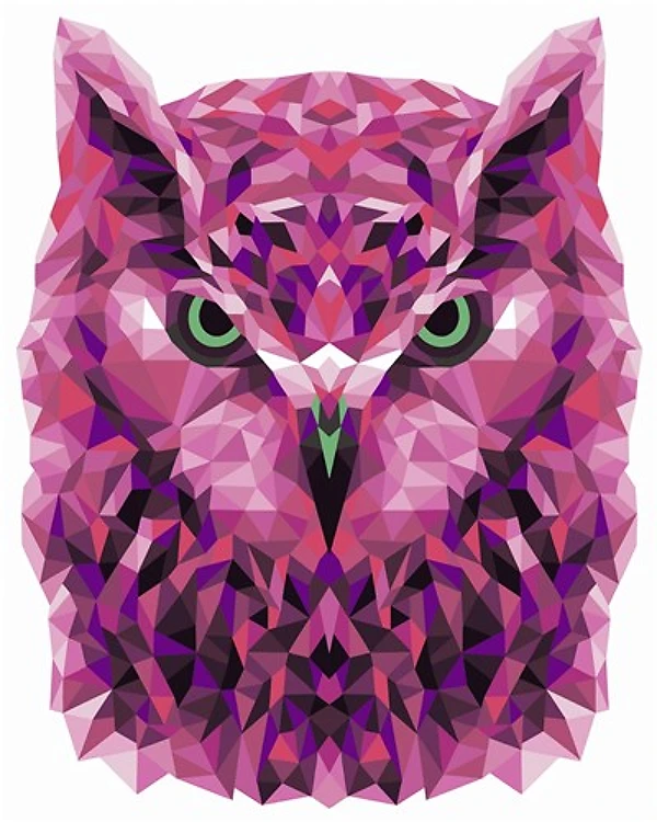 Paint By Numbers Kit Owl