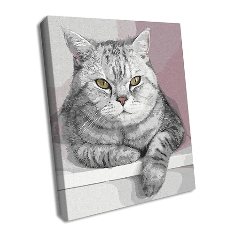 Paint By Numbers Kit My Furry Friend