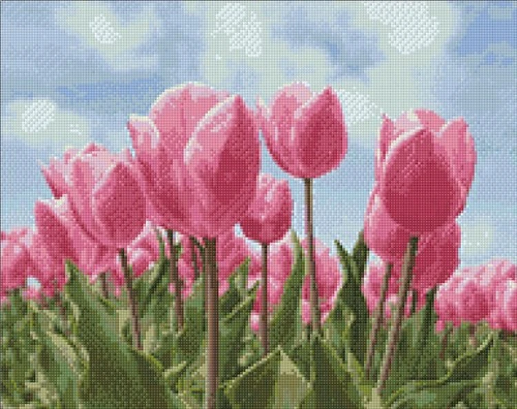 Sky And Tulips Diamond Painting Kit