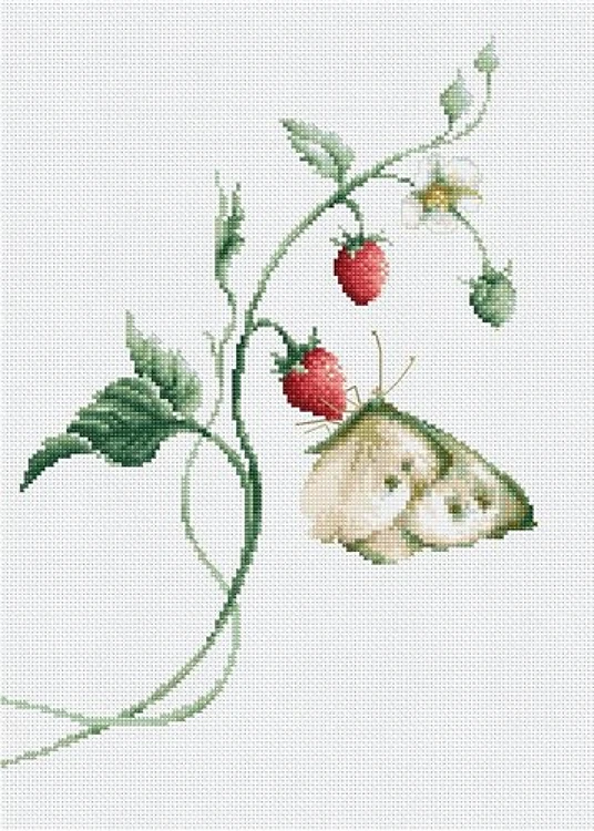 Aroma Of Summer Cross Stitch Kit