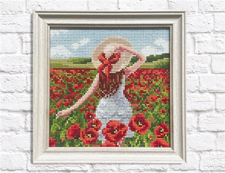 Poppy Field Diamond Painting Kit