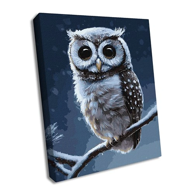 Paint By Numbers Kit - Forest Owl