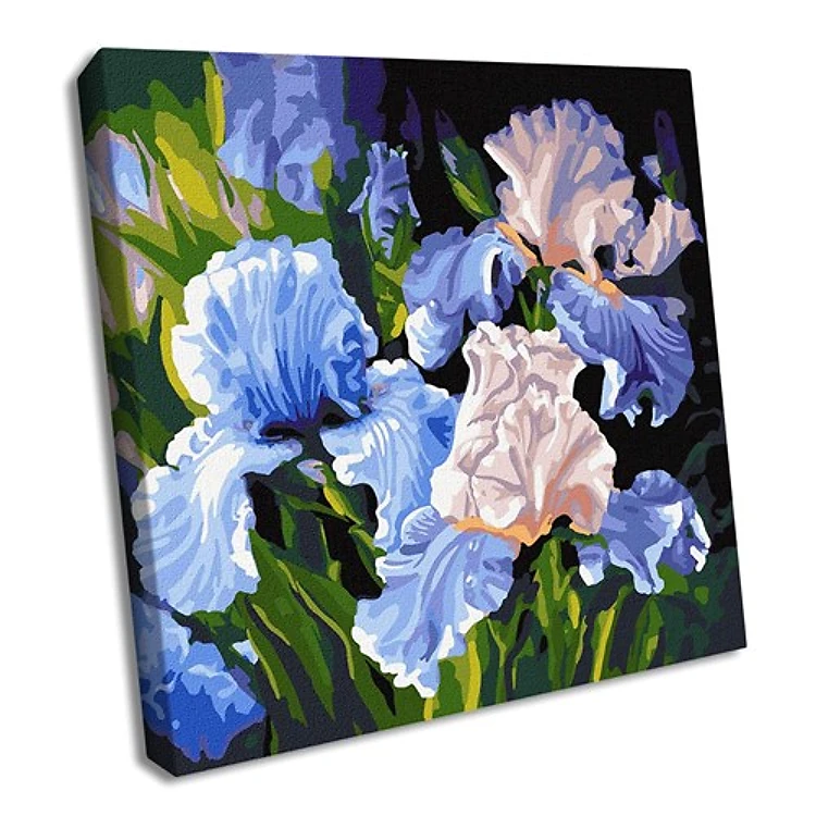 Paint By Numbers Kit Bright Irises