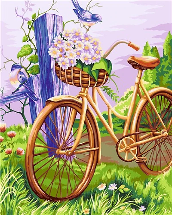 Paint By Numbers Kit Bicycle With Flowers