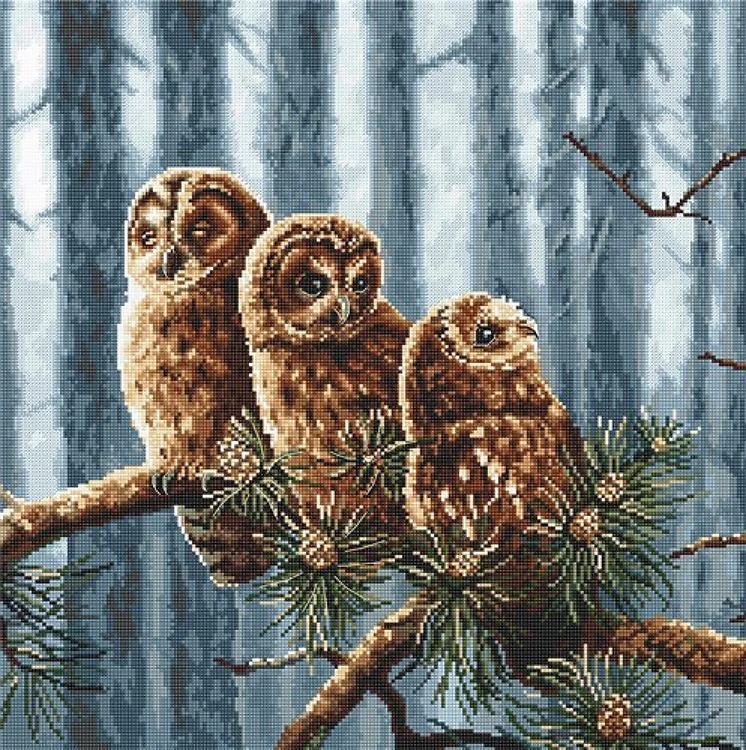 Counted Cross Stitch Kit Owls Family