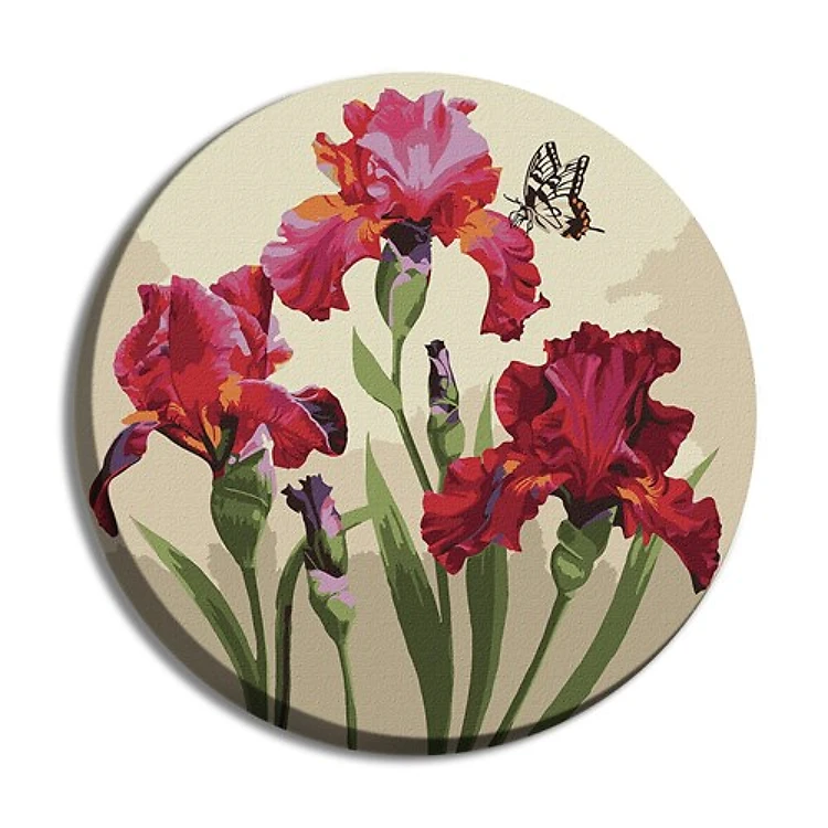 Paint By Numbers Kit Exquisite Irises