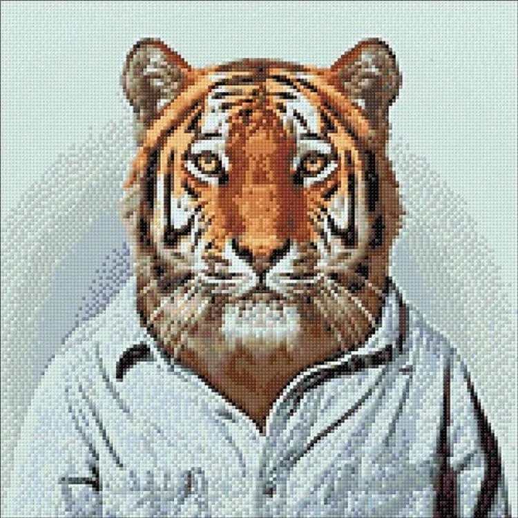 Mr Tiger WD258 14.9 x 14.9 inches Wizardi Diamond Painting Kit