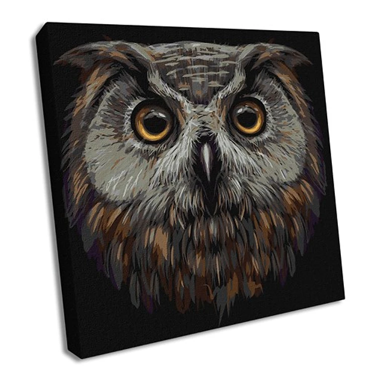 Painting by Numbers kit Bird of wisdom KHO4388