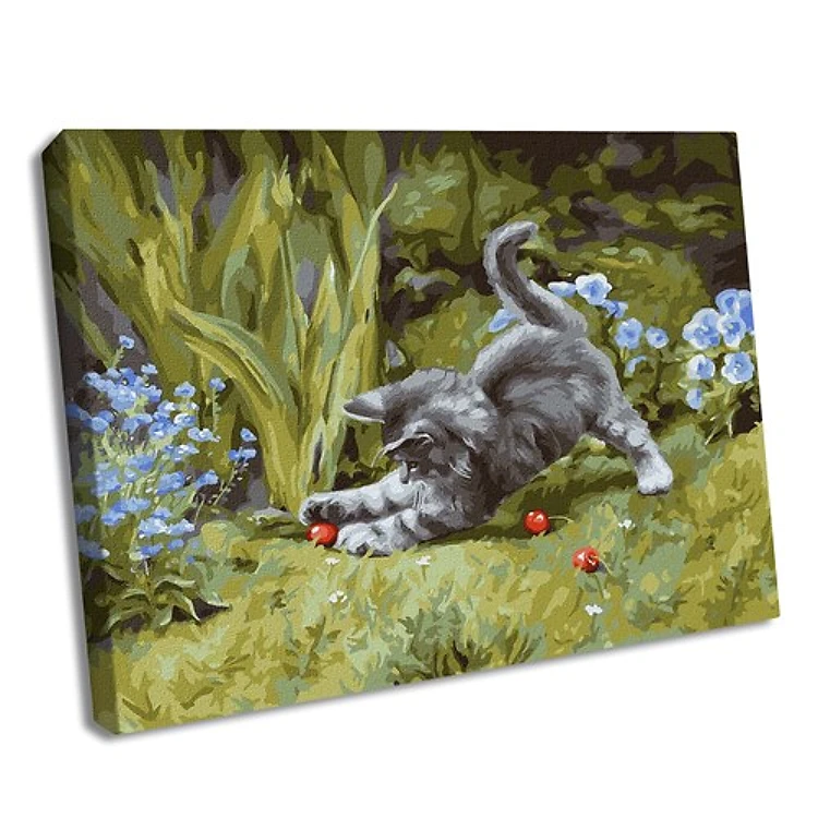 Painting by Numbers kit Playful kitten KHO4251