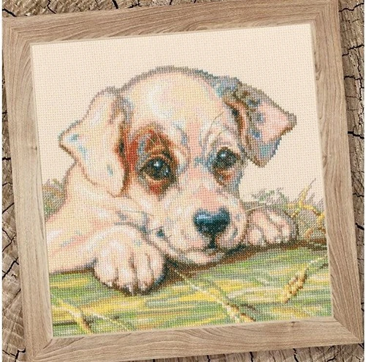 Motherhood Puppy M711 Counted Cross Stitch Kit