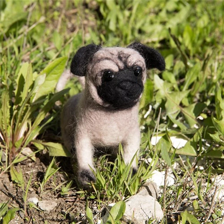 Felting kit Pugdog V-149C