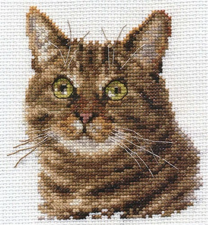 Cat's Eyes 0-135 Counted Cross-Stitch Kit