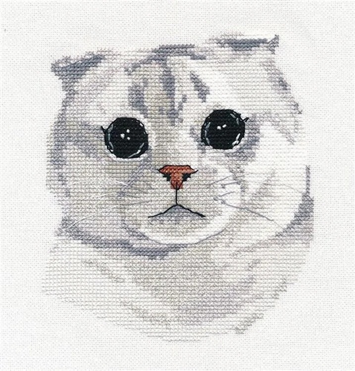 Scottish Fold 1323 Kitten Counted Cross Stitch Kit