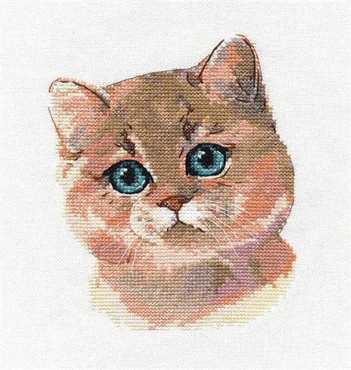 British Shorthair Cat 1326 Counted Cross Stitch Kit
