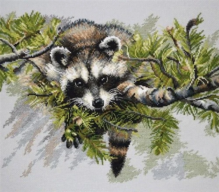 Curiosity 904 Counted Cross Stitch Kit