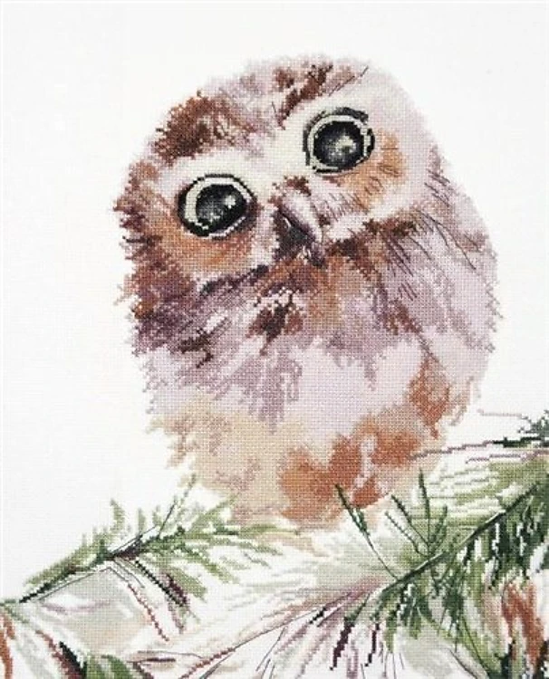 Wonderment 956 Counted Cross Stitch Kit