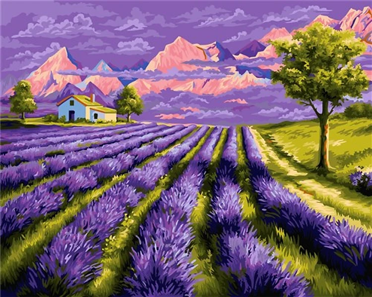 Painting by Numbers kit Crafting Spark Lavender Fields A080 19.69 x 15.75 in