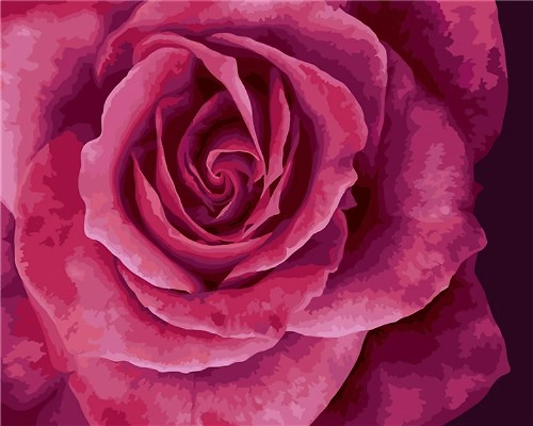 Painting by Numbers kit Crafting Spark Tender Rose B114 19.69 x 15.75 in