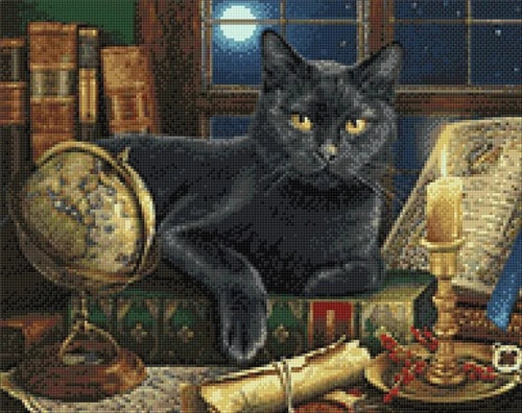 Wise Cat Diamond Painting Kit