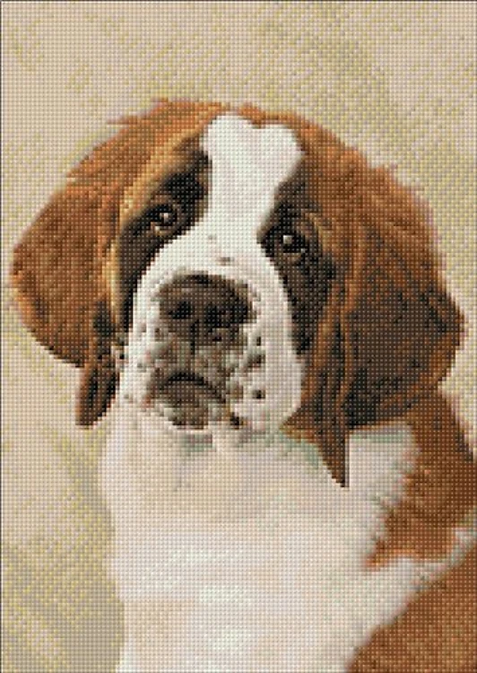 St. Bernard Pup Diamond Painting Kit