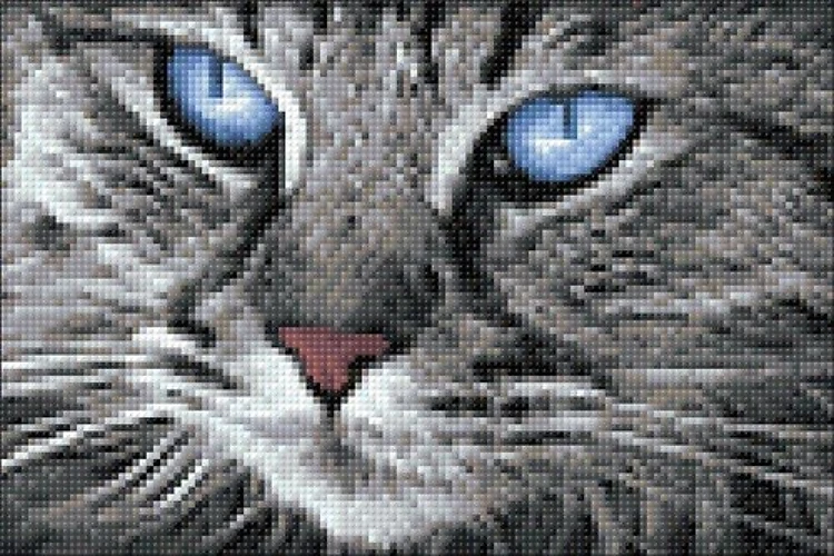 Blue-Eyed Ca Diamond Painting Kit