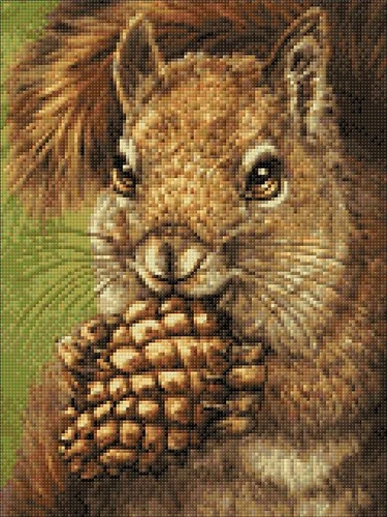 Squirrel Diamond Painting Kit