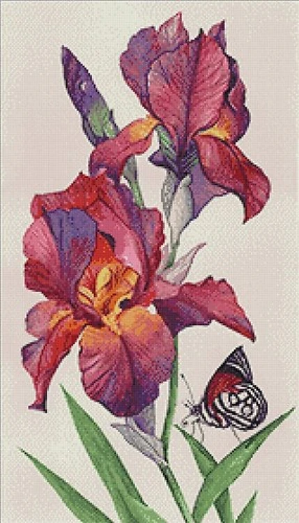 Irises Diamond Painting Kit
