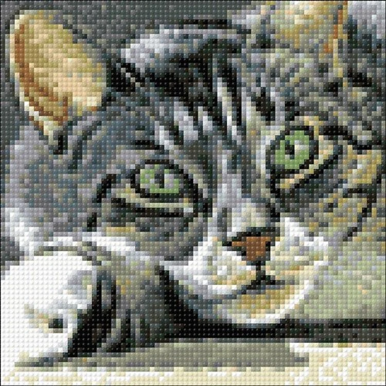 Intrigue Diamond Painting Kit