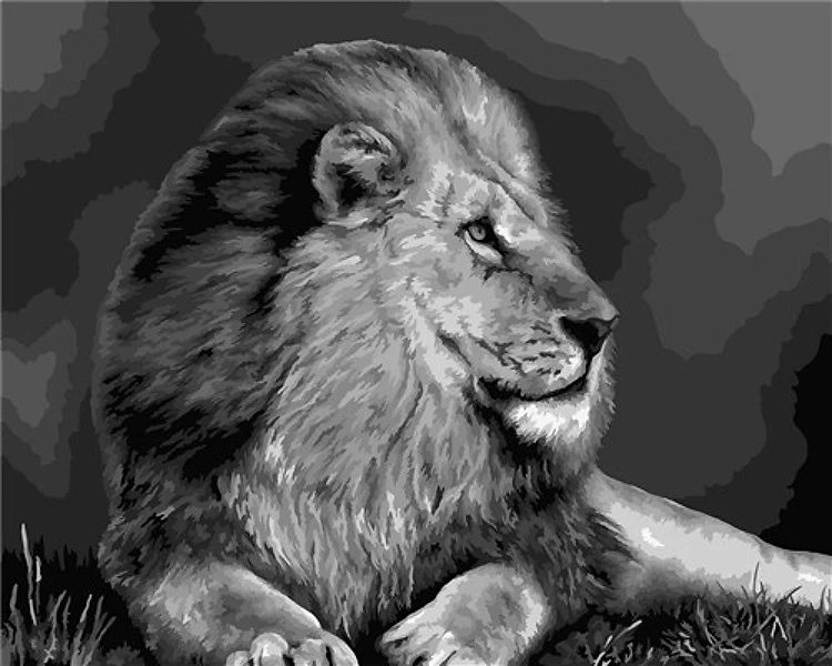 Painting by Numbers kit Crafting Spark Lion F009 19.69 x 15.75 in