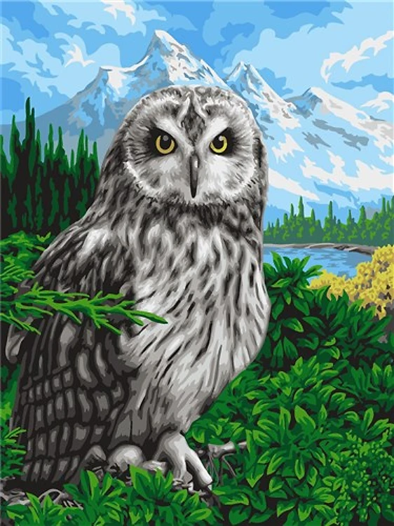 Painting by Numbers kit Crafting Spark Spring Owl H089 19.69 x 15.75 in