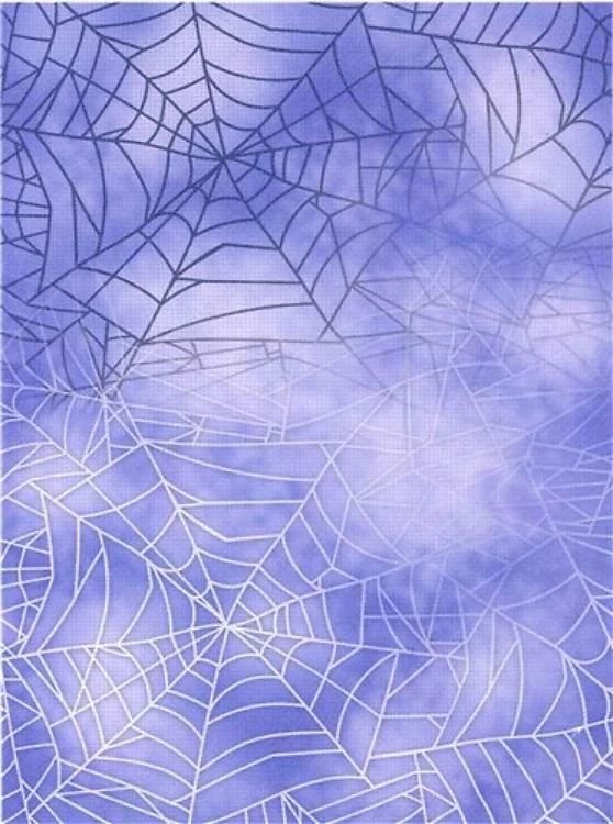 Designer Printed AIDA Canvas 18ct KD-098