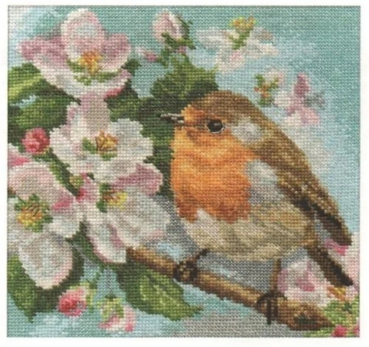 Robin 1-20 Counted Cross-Stitch Kit