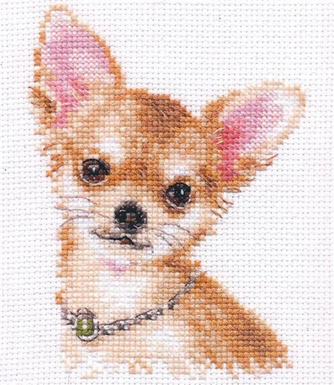 Chihuahua 1-30 Counted Cross-Stitch Kit