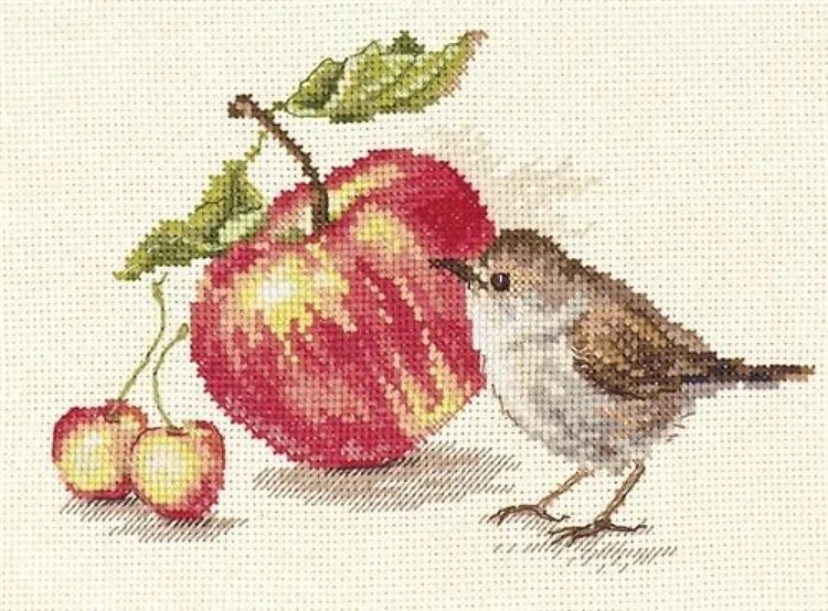 Bird and an Apple 5-22 Counted Cross-Stitch Kit