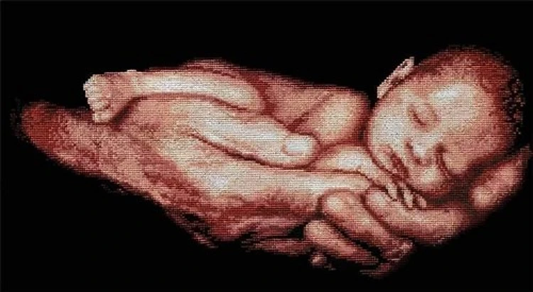 Baby SNV-362 Counted Cross Stitch Kit