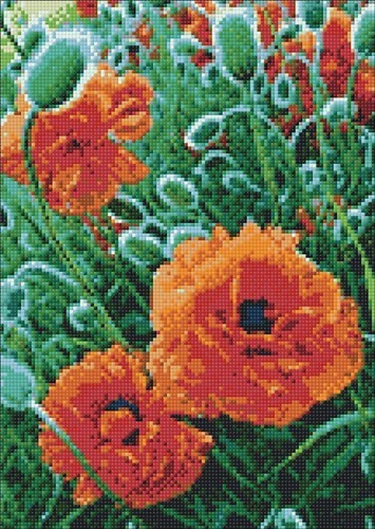 Poppie Field WD012 10.6 x 14.9 inches Wizardi Diamond Painting Kit