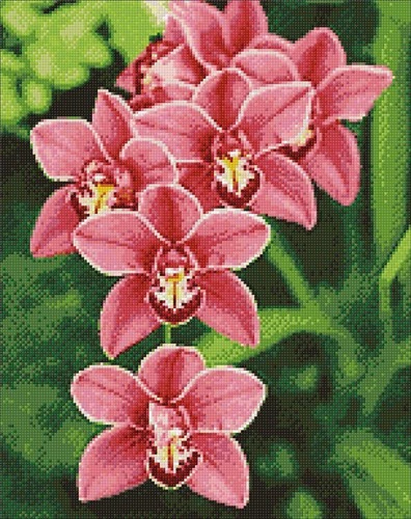 Cimbidium WD033 14.9 x 18.9 inches Wizardi Diamond Painting Kit