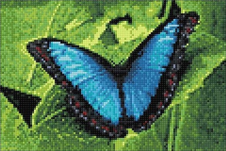 Blue Morpho CS055 11.8 x 7.9 inches
