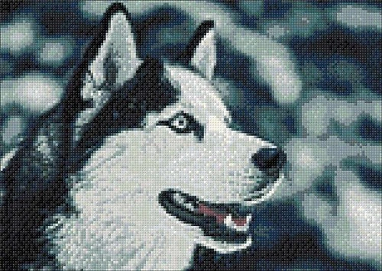 Nothern Friend WD087 14.9 x 10.6 inches Wizardi Diamond Painting Kit
