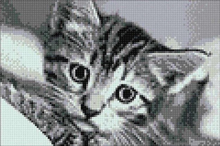 Black and White Cat WD213 11.8 x 7.9 inches Wizardi Diamond Painting Kit