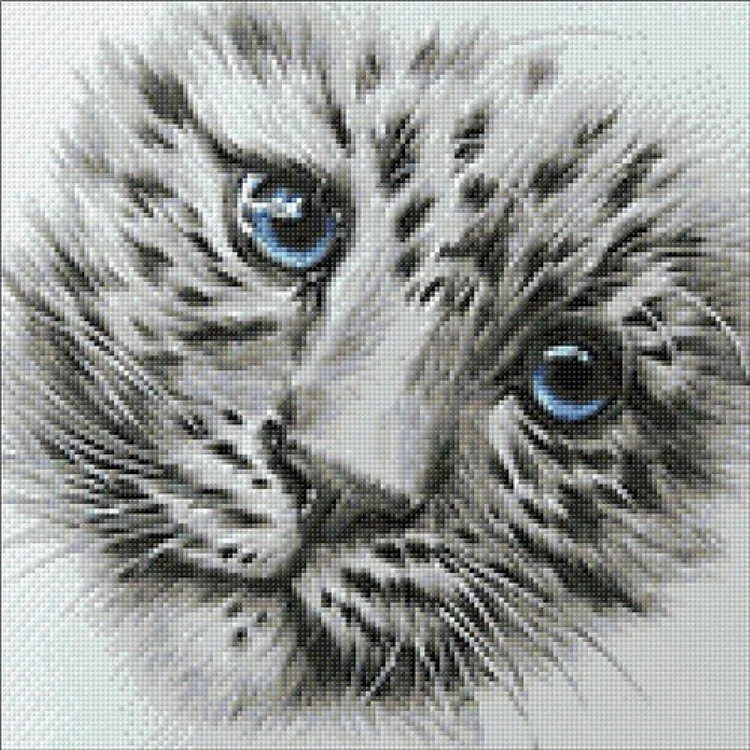 Little Predator WD2342 14.9 x 14.9 inches Wizardi Diamond Painting Kit