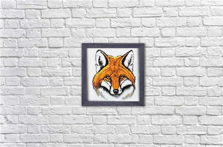 Red Fox WD2375 7.9 x 7.9 inches