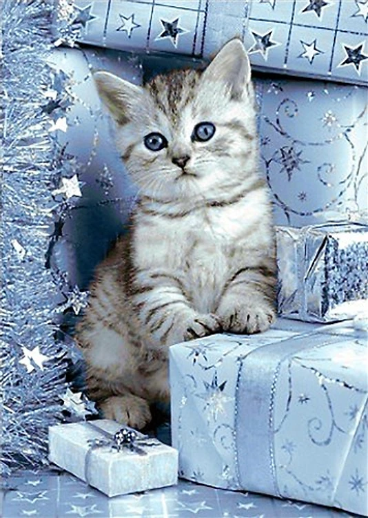 Kitten and Christmas Presents WD2417 10.6 x 14.9 inches Wizardi Diamond Painting Kit