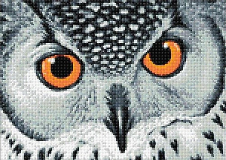 Owl's Look WD243 14.9 x 10.6 inches Wizardi Diamond Painting Kit