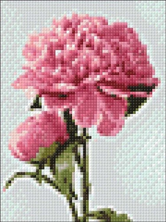 Pink Peony WD276 5.9 x 7.9 inches