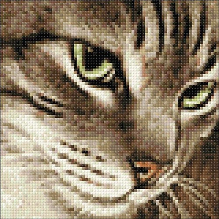 Mysterious Cat CS282 7.9 x 7.9 inches Crafting Spark Diamond Painting Kit